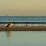 Beachside * בלנקנברג